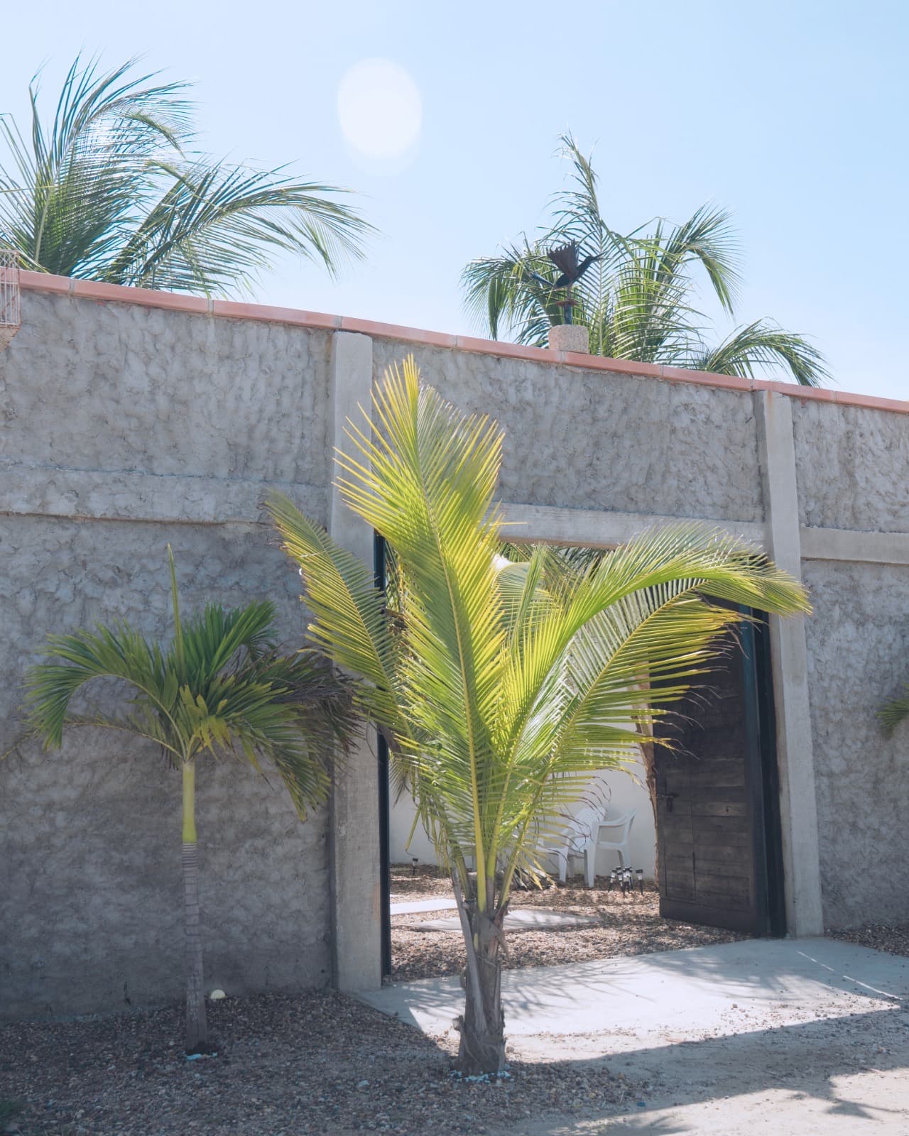 Casa Mangle — photo 12