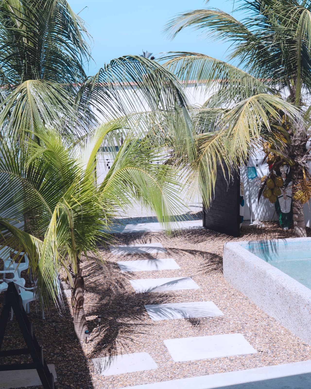 Casa Mangle — photo 14