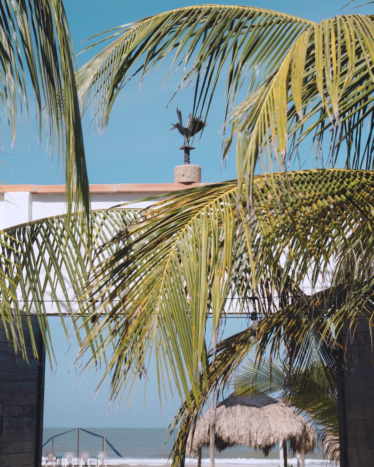 Casa Mangle — photo 31