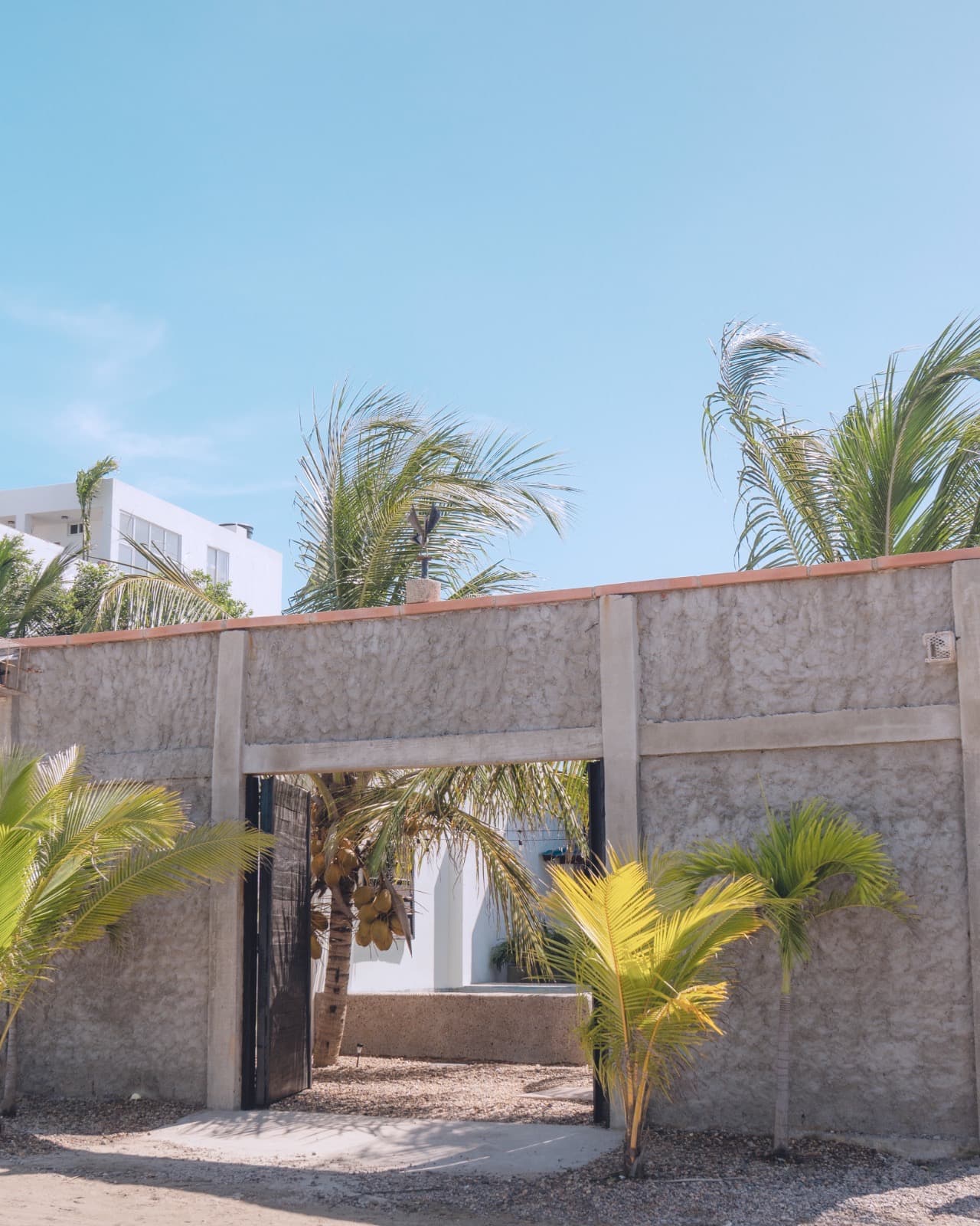 Casa Mangle — photo 40