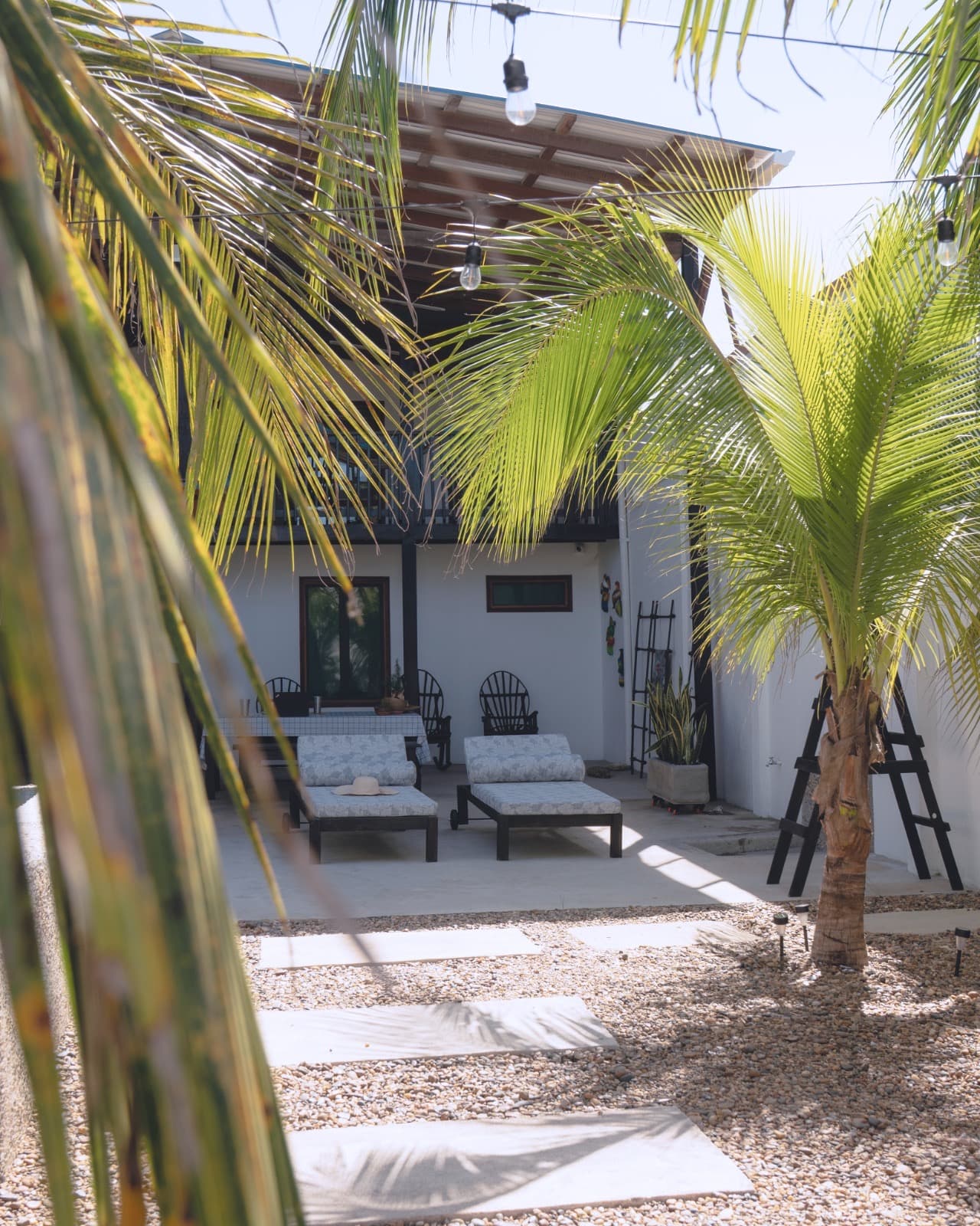 Casa Mangle — photo 45